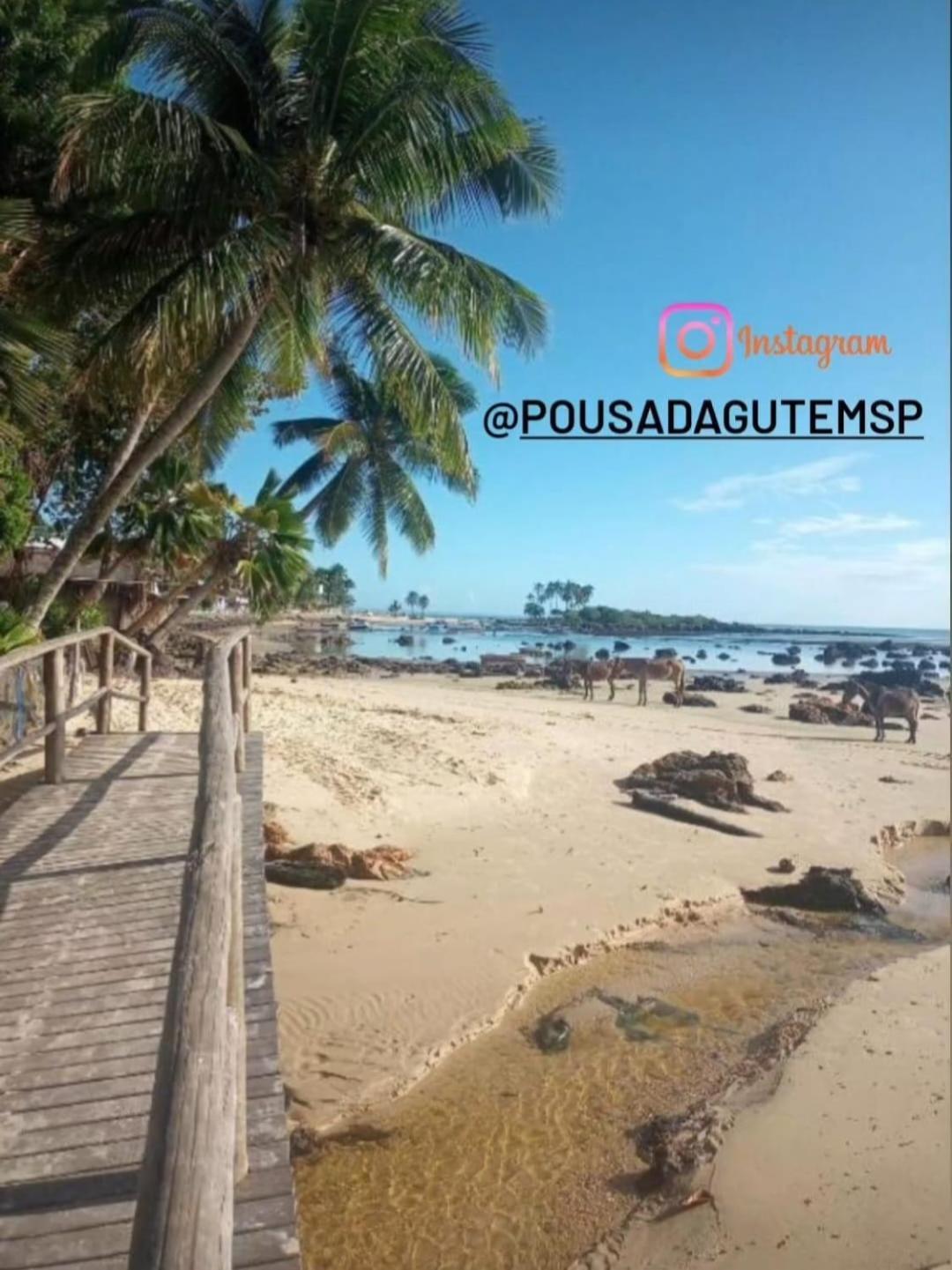 Pousada Gute Morro มอร์โฮเจอเซาเปาลู ภายนอก รูปภาพ
